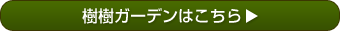 間取り：樹樹ガーデンはこちら